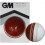 Gunn And Moore Skills Cricket Ball 1
