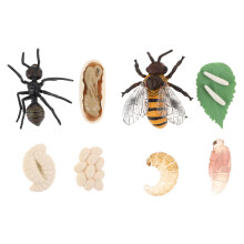 4Sets Lernspielzeug Plastik Ameisen- Und Bienenwachstum Modelle Bunt