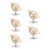 5Pièces Modèles Mini Cornes Dorées En Pour Décor Musical Précis 9