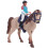 5Pièces Petits Chevaux Multicolores Figurines DIY Décor 3
