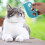 6Pièces Outil Élimination Poils Animaux Croix-Surface Coloré 6