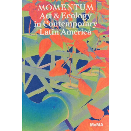 Momentum Paperback Book