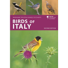 Birds of Italy by Daniele Occhiato Paperback Book
