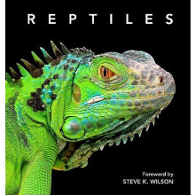 Reptiles by Steve Wilson Hardcover Book