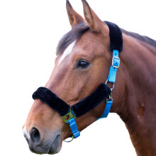 (X Full, Blue) Shires Fleece Lined Horse Headcollar