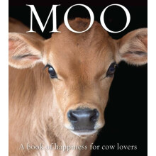 Moo by Angus St John Galloway Paperback Book
