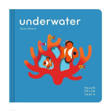 TouchThinkLearn Underwater by Xavier Deneux Other Book