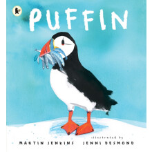 Puffin by Martin Jenkins Paperback Book