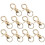 20Pièces Verrou Cage Perruche Métal Durable Accessoire 3
