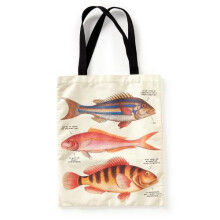 Judgy Fish Canvas Tote by Brass Monkey Other Book