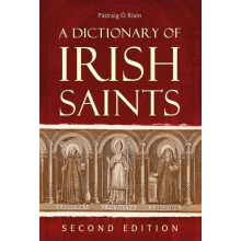 A dictionary of Irish Saints by Padraig O Riain Hardcover Book