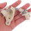 4Sets High Elasticity Bungee Tie and Roller Blind Wall Brackets Beige 5
