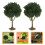 6Pcs Miniature Landscape Trees Green Plastic Model Railroad Scenery 8