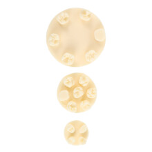 15Pcs Practice Model Resin Kit for Home Training