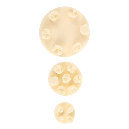 15Pcs Practice Model Resin Kit for Home Training