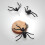 5Pcs Creative Black Spider Earrings Halloween Punk Ear Accessories 9