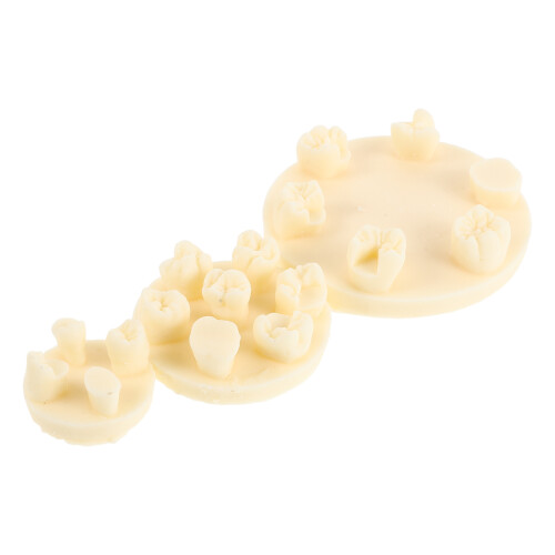 15Pcs Practice Model Resin Kit for Home Training 2