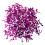 2Sets Reusable Assorted Colored Tadpole Wedding and Birthday Confetti 2