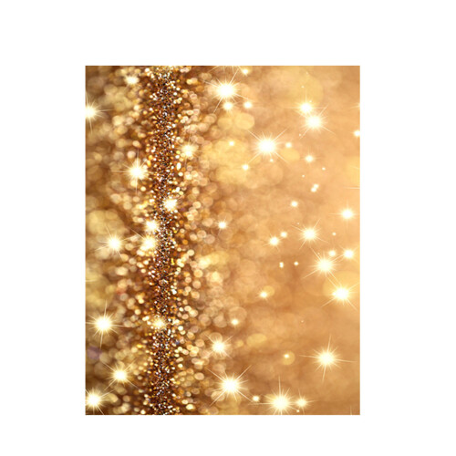 2Pcs Golden Video Shoot Photography Backdrop Durable Cloth