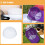 40Pcs Lightweight Clear Plastic Baseball Hat Support Insert for Caps 10