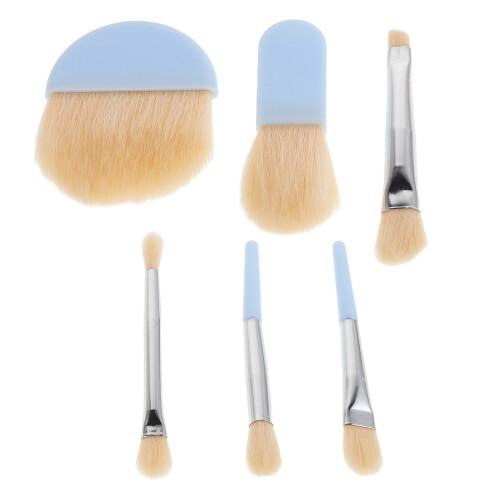 3Sets Travel-Friendly Sky- Makeup Brushes with Durable Case 2