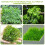 4Pcs Stainless Steel Moss Mesh Kit Dark Grey Rustproof for Aquarium 4