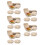 150Pcs Lightweight to Go Beige 4