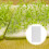 450Pcs Vegetable Planting Durable Germinating Seed Sheets 10