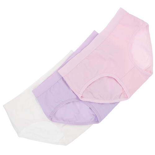 6Pcs Assorted Briefs Breathable Women Underwear