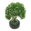 5Pcs Plastic Miniature Garden Trees for Model Building and Craft Use 1