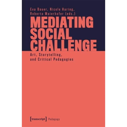 Mediating Social Challenge Paperback Book