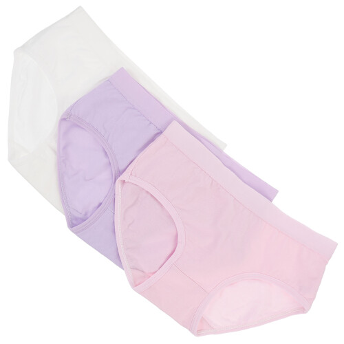 6Pcs Assorted Briefs Breathable Women Underwear 1