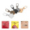 75Pcs Removable Metal Zipper Pull Tabs for Universal Zipper Repairs 10