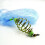 20Pcs Premium White Replacement Fishing Mesh Net for Safe Use 4