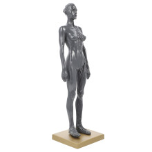 2Pcs Mini Muscular System Model Resin Black Women Anatomy Study Aid