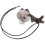 3St Koala Auto Spiegeldecoratie Grijs Creatieve Ornament Hanger 2