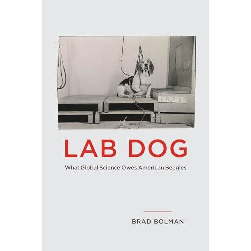 Lab Dog by Brad Bolman Paperback Book