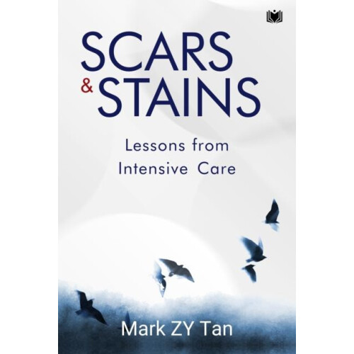 Scars amp Stains by Mark ZY Tan Paperback Book