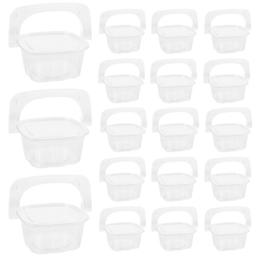 100Pcs Transparent Fruit Snack Containers with Handle for Outdoor Use