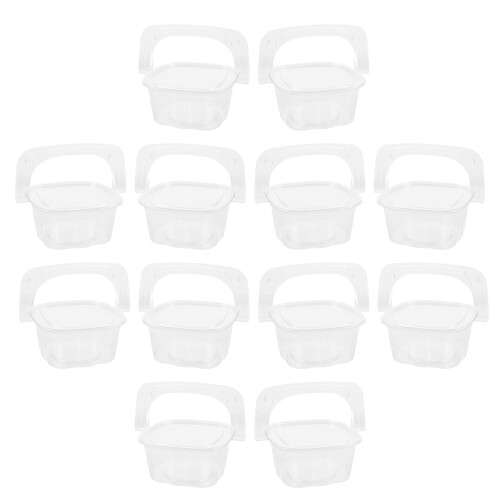 100Pcs Transparent Fruit Snack Containers with Handle for Outdoor Use 2