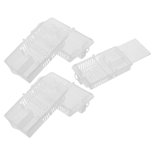 20Pcs Transparent Plastic Bee Cage Beekeeping Rearing Box 2