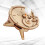 2St Kinderen Dieren DIY Speelgoed Cooler Model Beige 9
