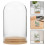 3Pcs Bamboo Base Glass Display Dome for Hydroponic Plant Propagation 10
