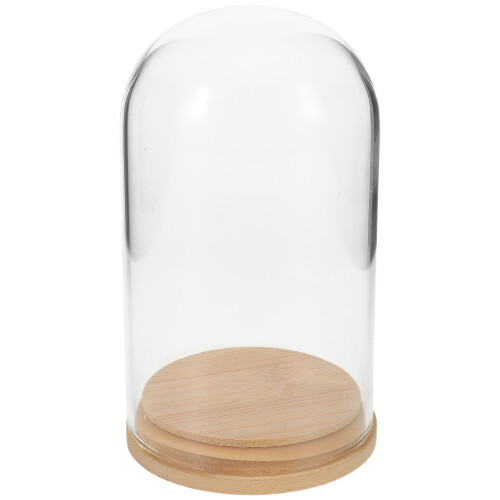 3Pcs Bamboo Base Glass Display Dome for Hydroponic Plant Propagation
