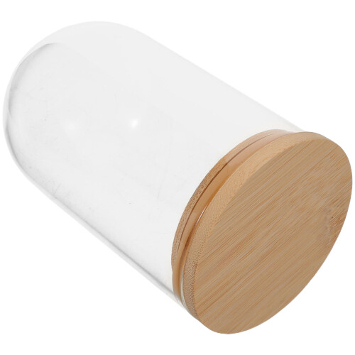 3Pcs Bamboo Base Glass Display Dome for Hydroponic Plant Propagation 2