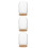 3Pcs Bamboo Base Glass Display Dome for Hydroponic Plant Propagation 7