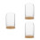 3Pcs Bamboo Base Glass Display Dome for Hydroponic Plant Propagation 9