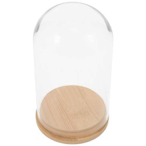 3Pcs Bamboo Base Glass Display Dome for Hydroponic Plant Propagation 1