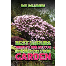 The Best Shrubs and Trees to Add Colour and Interest to Your Garden by