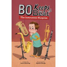 The Instrument Surprise by Andrew Bambridge Paperback Book